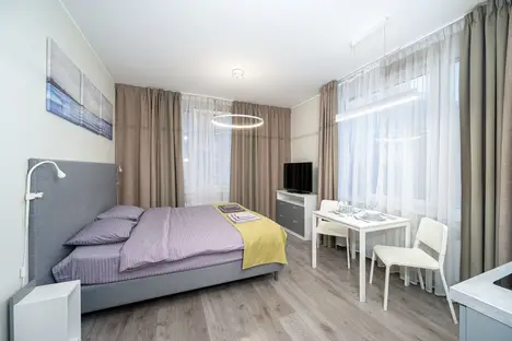 1-комнатная квартира в Санкт-Петербурге, Витебский пр-кт, 101к1