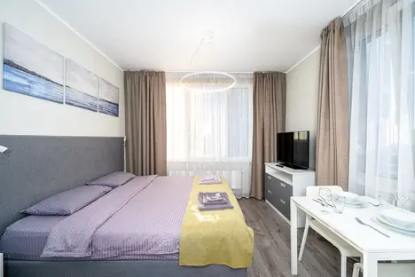 1-комнатная квартира в Санкт-Петербурге, Витебский пр-кт, 101к1