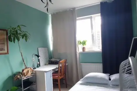 2-комнатная квартира в Санкт-Петербурге, пр-кт Испытателей, 15к1