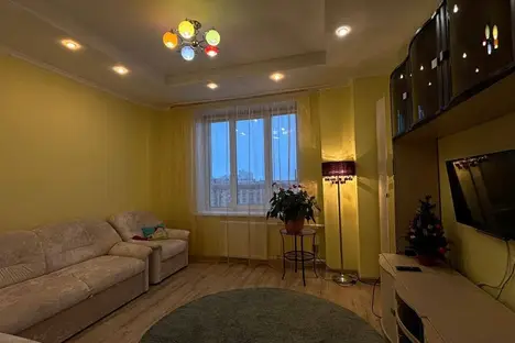 2-комнатная квартира в Санкт-Петербурге, Туристская ул., 10к1, м. Беговая