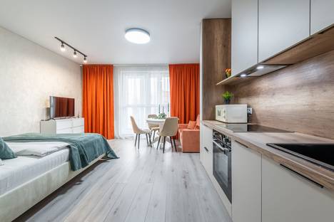 1-комнатная квартира в Минске, ул. Игоря Лученка, 24