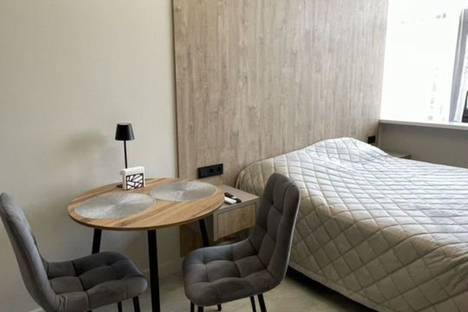 1-комнатная квартира в Сочи, Виноградная ул., 2/2с3 1-комнатная квартира в Сочи, Виноградная ул., 2/2с3