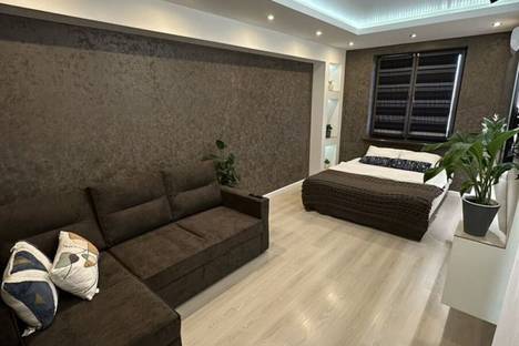 Однокомнатная квартира в аренду посуточно в Пензе по адресу ул. Плеханова, 14