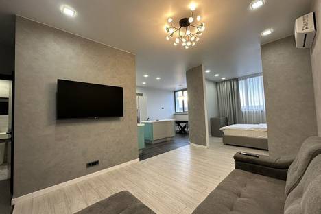 Однокомнатная квартира в аренду посуточно в Пензе по адресу ул. Плеханова, 14