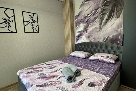 Однокомнатная квартира в аренду посуточно в Энгельсе по адресу ул. Максима Горького, 14