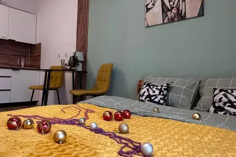 1-комнатная квартира в Екатеринбурге, ул. Данилы Зверева, 11