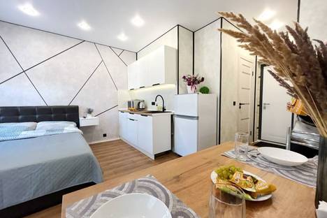 1-комнатная квартира в Ульяновске, Ульяновск, ул. Генерала Кашубы, 4к2