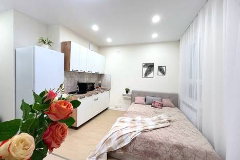 1-комнатная квартира в Ульяновске, Ульяновск, ул. Генерала Кашубы, 4к2