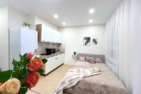 1-комнатная квартира в Ульяновске, ул. Генерала Кашубы, 4к2