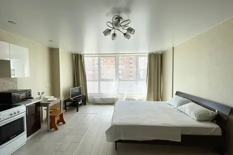 1-комнатная квартира в Новосибирске, Новосибирск, ул. Немировича-Данченко, 144/3