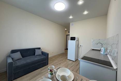 1-комнатная квартира в Новосибирске, ул. Тюленина, 3