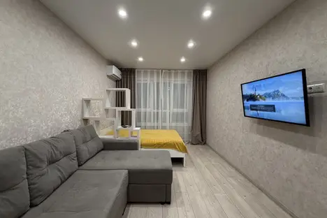 1-комнатная квартира в Новосибирске, Новосибирск, ул. Ясный б-г, 35