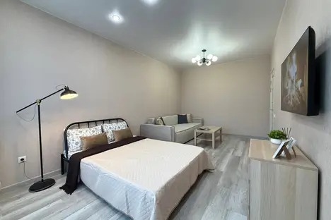 1-комнатная квартира в Новосибирске, Новосибирск, ул. Ясный б-г, 25