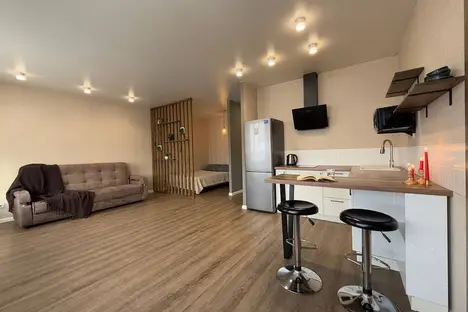 1-комнатная квартира в Новосибирске, Новосибирск, Ленинский р-н , мкр. Горский, 14