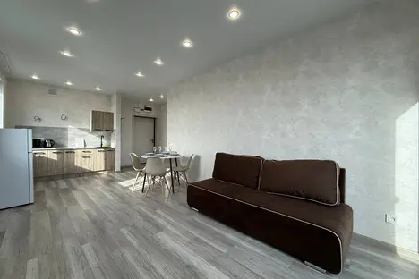 1-комнатная квартира в Новосибирске, Новосибирск, ул. Никитина, 67