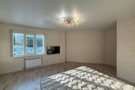 1-комнатная квартира в Новосибирске, ул. Дениса Давыдова, 1/2