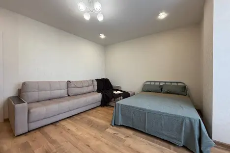 1-комнатная квартира в Новосибирске, ул. Добролюбова, 162/1, м. Золотая Нива