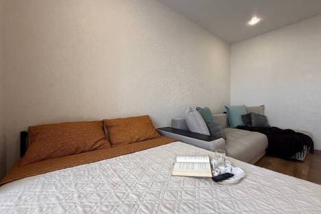 1-комнатная квартира в Новосибирске, ул. Добролюбова, 162/1, м. Золотая Нива