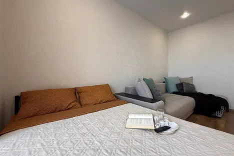 1-комнатная квартира в Новосибирске, Новосибирск, ул. Добролюбова, 162/1, м. Золотая Нива