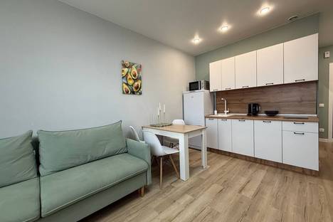 1-комнатная квартира в Новосибирске, Новосибирск, ул. Дуси Ковальчук, 248/1