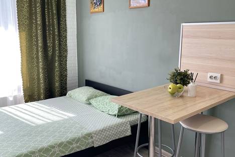 1-комнатная квартира в Новосибирске, Новосибирск, Железнодорожный р-н , Железнодорожная ул., 15/1