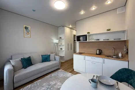 1-комнатная квартира в Новосибирске, Новосибирск, ул. Ленина, 85