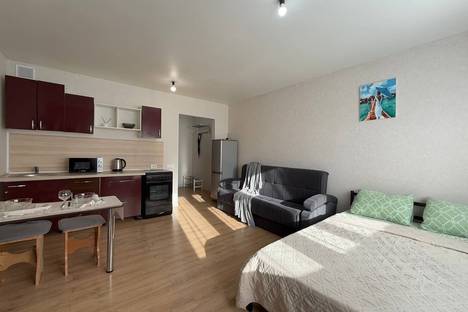 Однокомнатная квартира в аренду посуточно в Новосибирске по адресу Ленинский р-н , мкр. Горский, 69/1