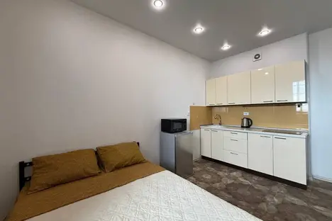 1-комнатная квартира в Новосибирске, Новосибирск, ул. Немировича-Данченко, 144/1