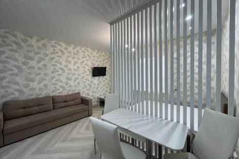 Однокомнатная квартира в аренду посуточно в Новосибирске по адресу Железнодорожный р-н , Прибрежная ул., 6