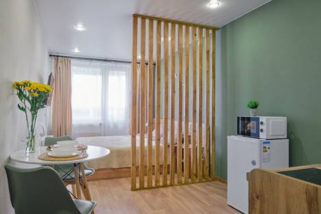 1-комнатная квартира в Томске, Большая Подгорная ул., 87блок7