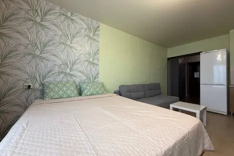 1-комнатная квартира в Новосибирске, ул. Татьяны Снежиной, 48