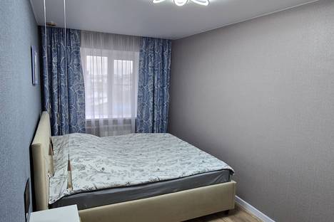 2-комнатная квартира в Воронеже, Большая Манежная ул., 2