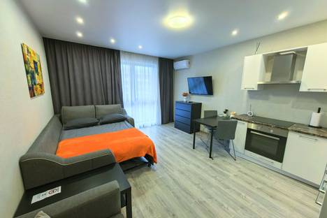 1-комнатная квартира в Казани, Казань, ул. Волкова, 12