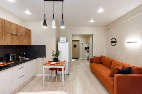 1-комнатная квартира в Казани, Казань, ул. Бари Галеева, 8Ак3