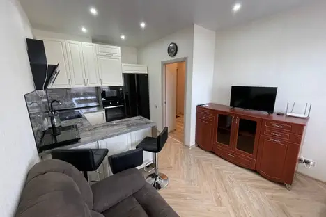 1-комнатная квартира в Новосибирске, ул. Ясный б-г, 1/1