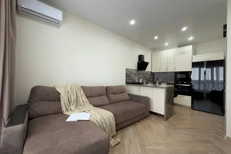 1-комнатная квартира в Новосибирске, ул. Ясный б-г, 1/1