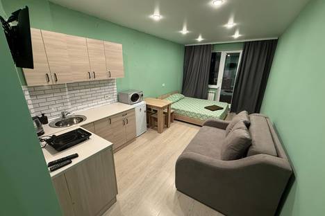 1-комнатная квартира в Новосибирске, ул. Ясный б-г, 10