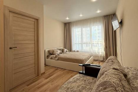 1-комнатная квартира в Новосибирске, ул. Ясный б-г, 3