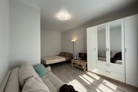 1-комнатная квартира в Новосибирске, ул. Ясный б-г, 3