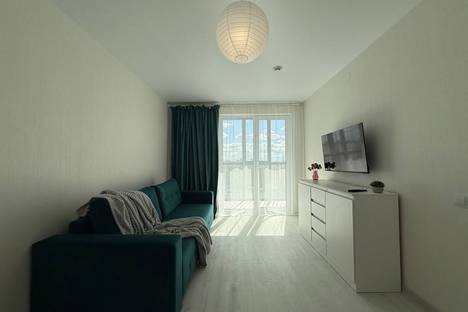 1-комнатная квартира в Новосибирске, Новосибирск, ул. Ясный б-г, 43