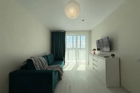 1-комнатная квартира в Новосибирске, Новосибирск, ул. Ясный б-г, 43