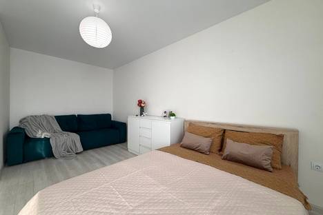 1-комнатная квартира в Новосибирске, ул. Ясный б-г, 43