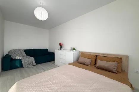 1-комнатная квартира в Новосибирске, ул. Ясный б-г, 43