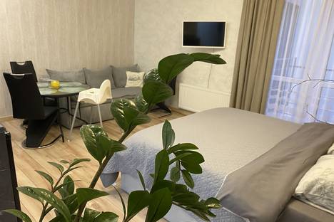 1-комнатная квартира в Заостровье, Пионерская ул., 4А