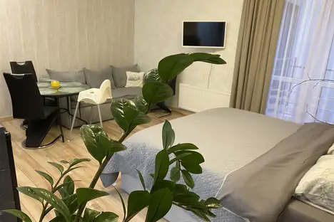 1-комнатная квартира в Заостровье, Пионерская ул., 4А