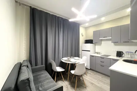 1-комнатная квартира в Санкт-Петербурге, Витебский пр-кт, 101к1