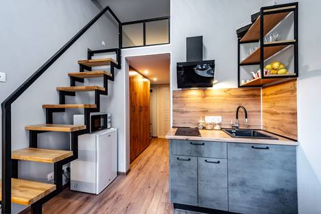 1-комнатная квартира в Санкт-Петербурге, ул. Рубинштейна, 23