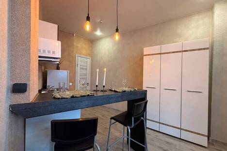 1-комнатная квартира в Новосибирске, Новосибирск, Ленинский р-н , мкр. Горский, 67