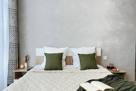 1-комнатная квартира в Новосибирске, Новосибирск, Ленинский р-н , мкр. Горский, 67