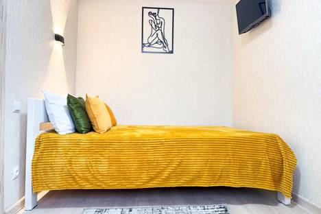 Трёхкомнатная квартира в аренду посуточно в Рязани по адресу ул. Дзержинского, 33